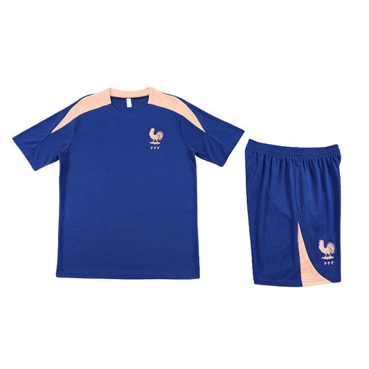 Frankrijk 25/26 Blue/Pink
